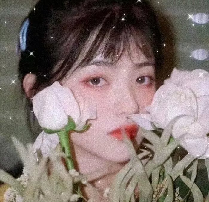 失眠者的避难所
