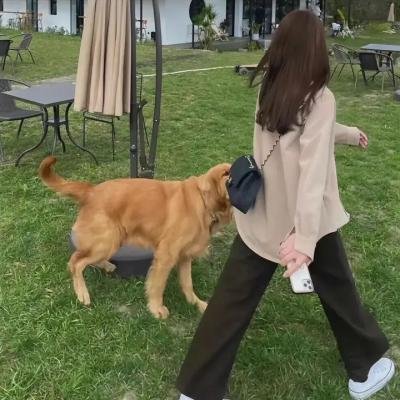 第三位影武者